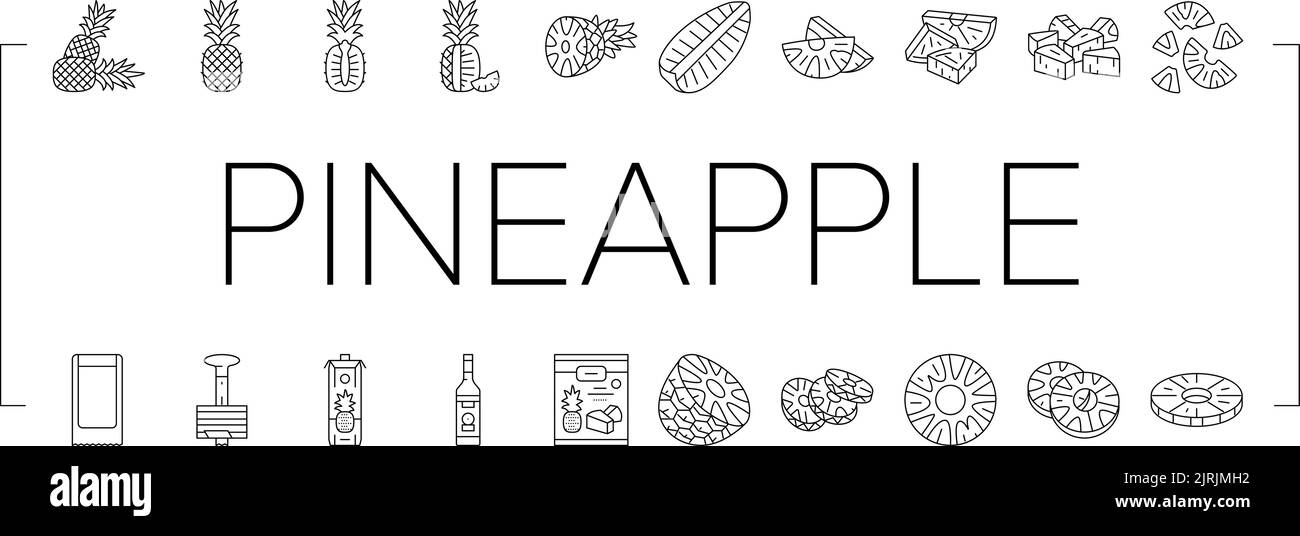 pineapple fruit tropical food icons set vector Stock Vector Image & Art ...