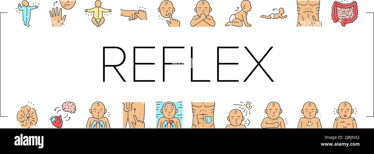 Reflex Of Human Neurology System Icons Set Vector Stock Vector Image ...