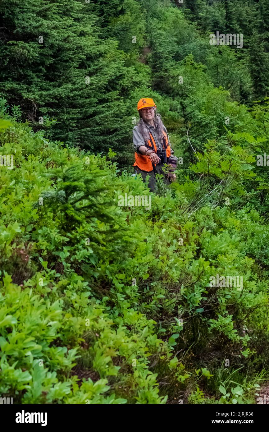 Karen Rentz wearing orange during beear-hunting season on Evergreen Mountain,, Cascade Range, Mt. Baker-Snoqualmie National Forest, Washington State, Stock Photo