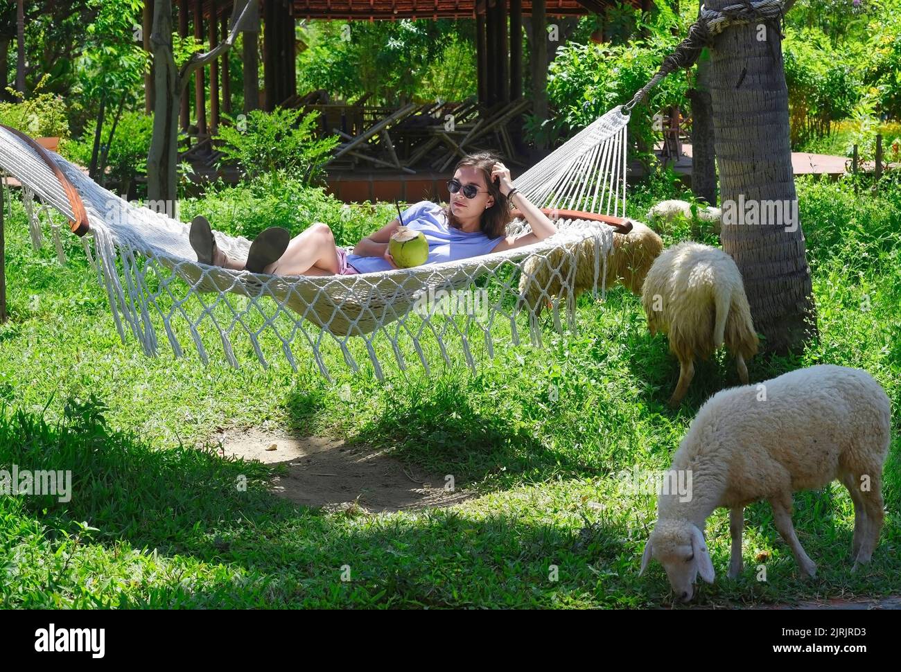 Image showcasing People lay in grass hi-res stock photography and images - Alamy
