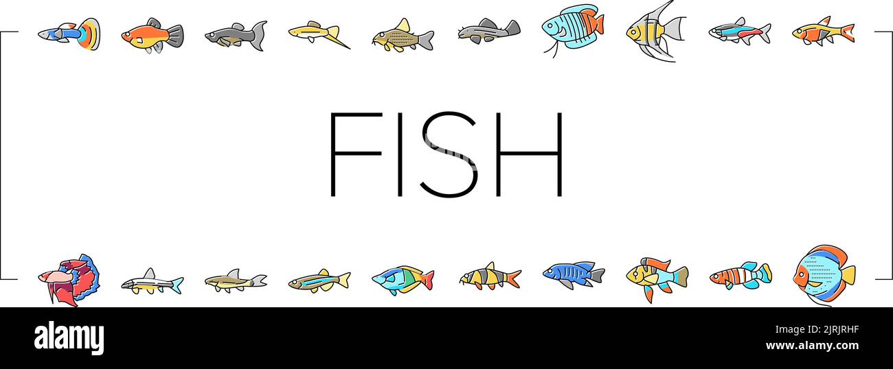 Aquarium Fish Tropical Animal Icons Set Vector Stock Vector Image & Art ...