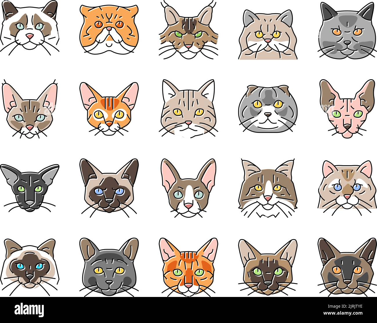 cat cute pet animal kitten funny icons set vector