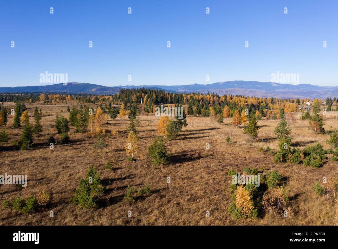 Aerial view of autumn meadow and forest, Romania Stock Photo