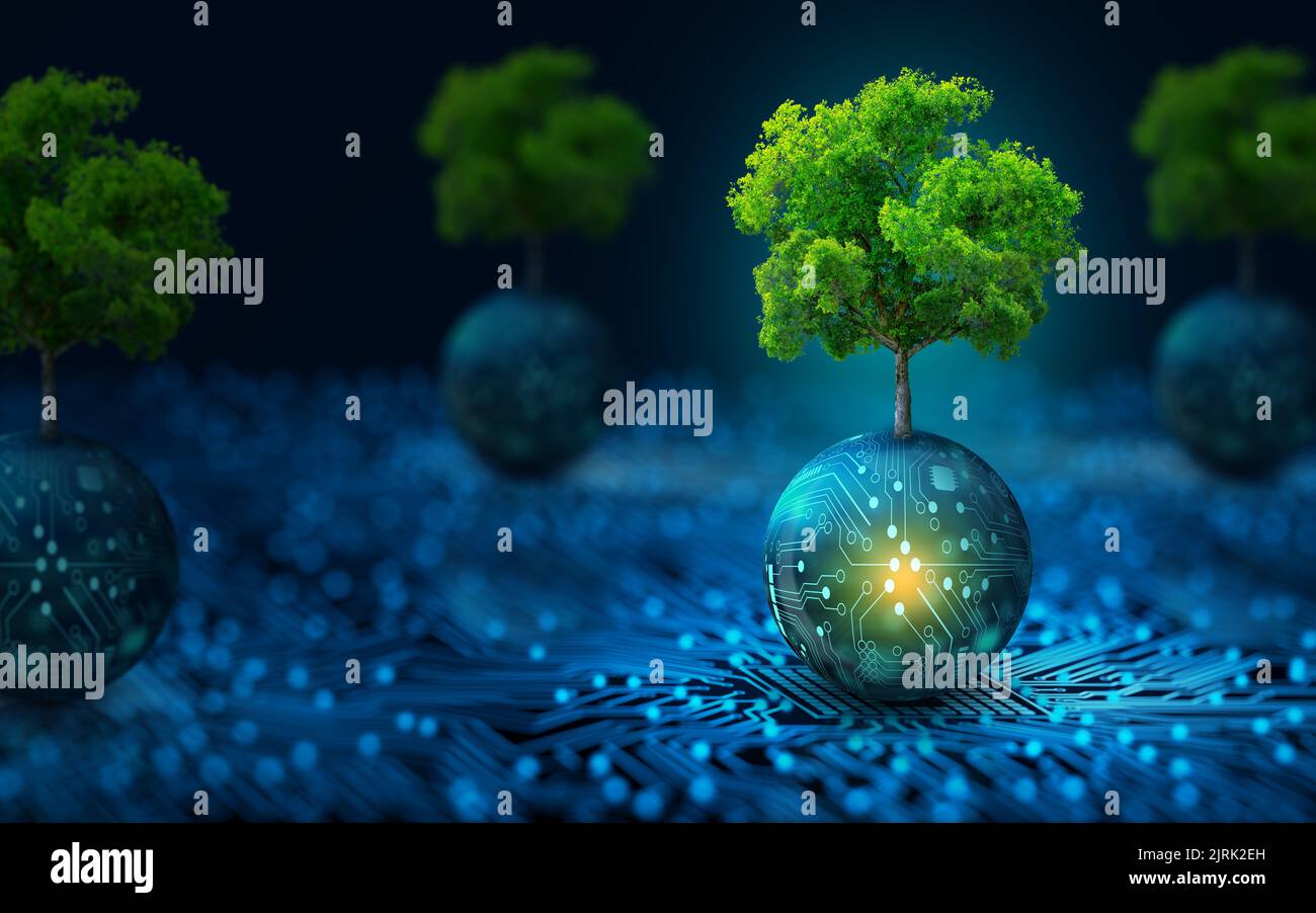 Tree growing on Circuit digital ball. Digital and Technology Convergence. Blue light and Wireframe network background. Green Computing. Stock Photo