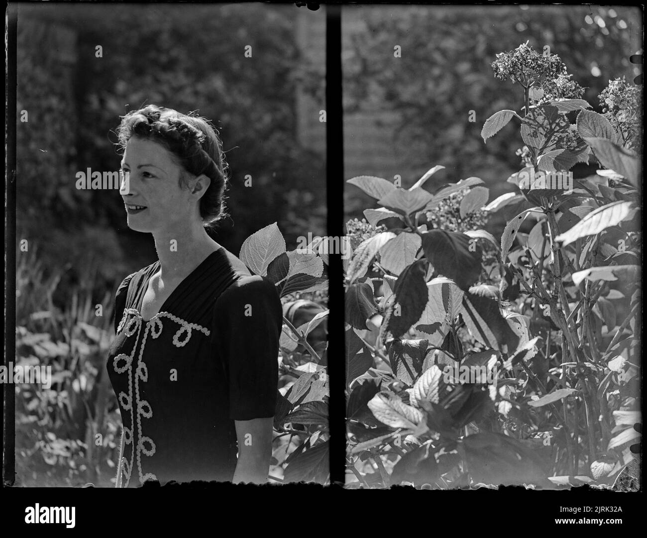 Miss mavis taylor of po miss mavis taylor of po hires stock