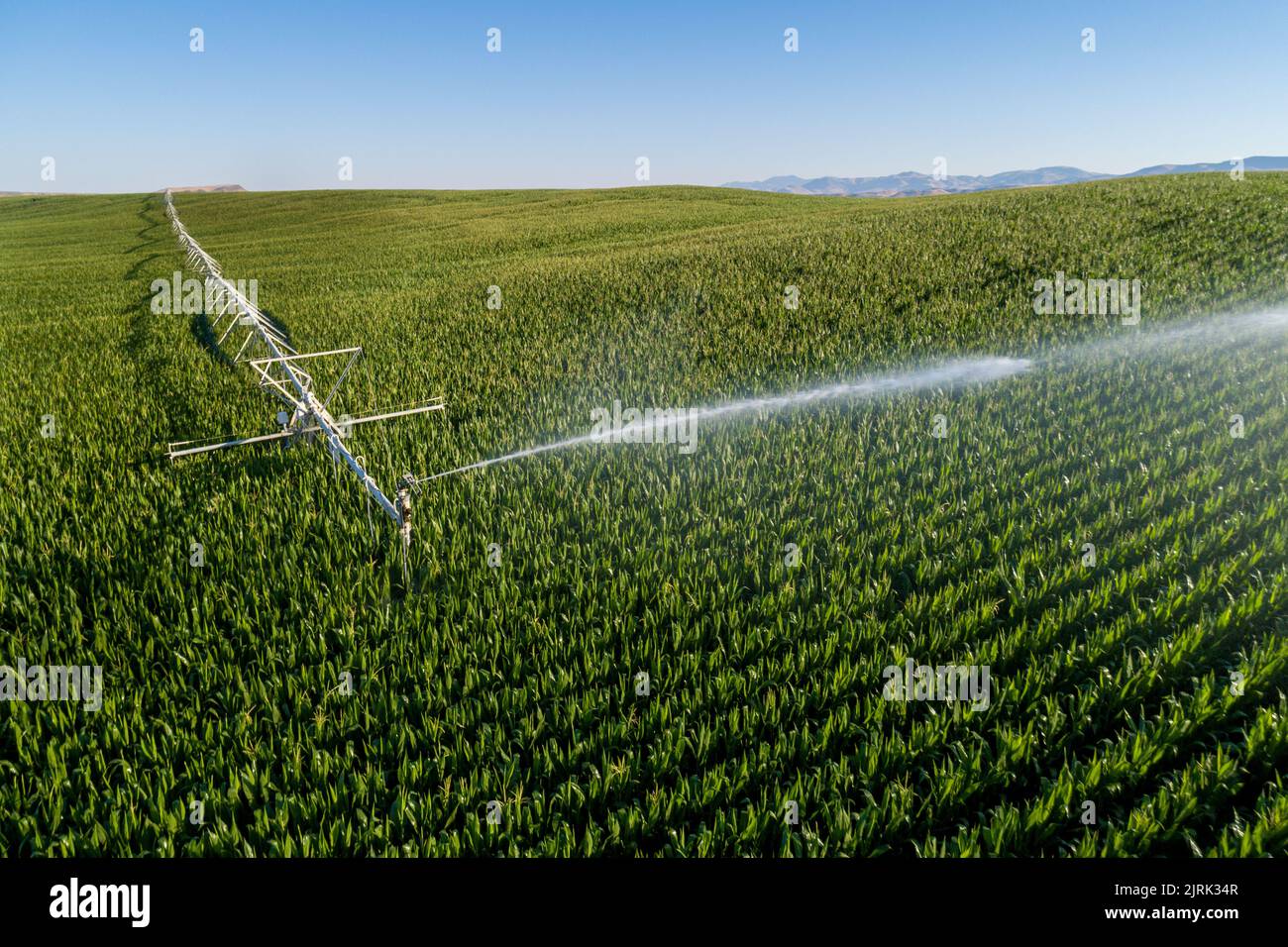 Aerial photo from sprinkler irrigation drone Stock Photo Alamy