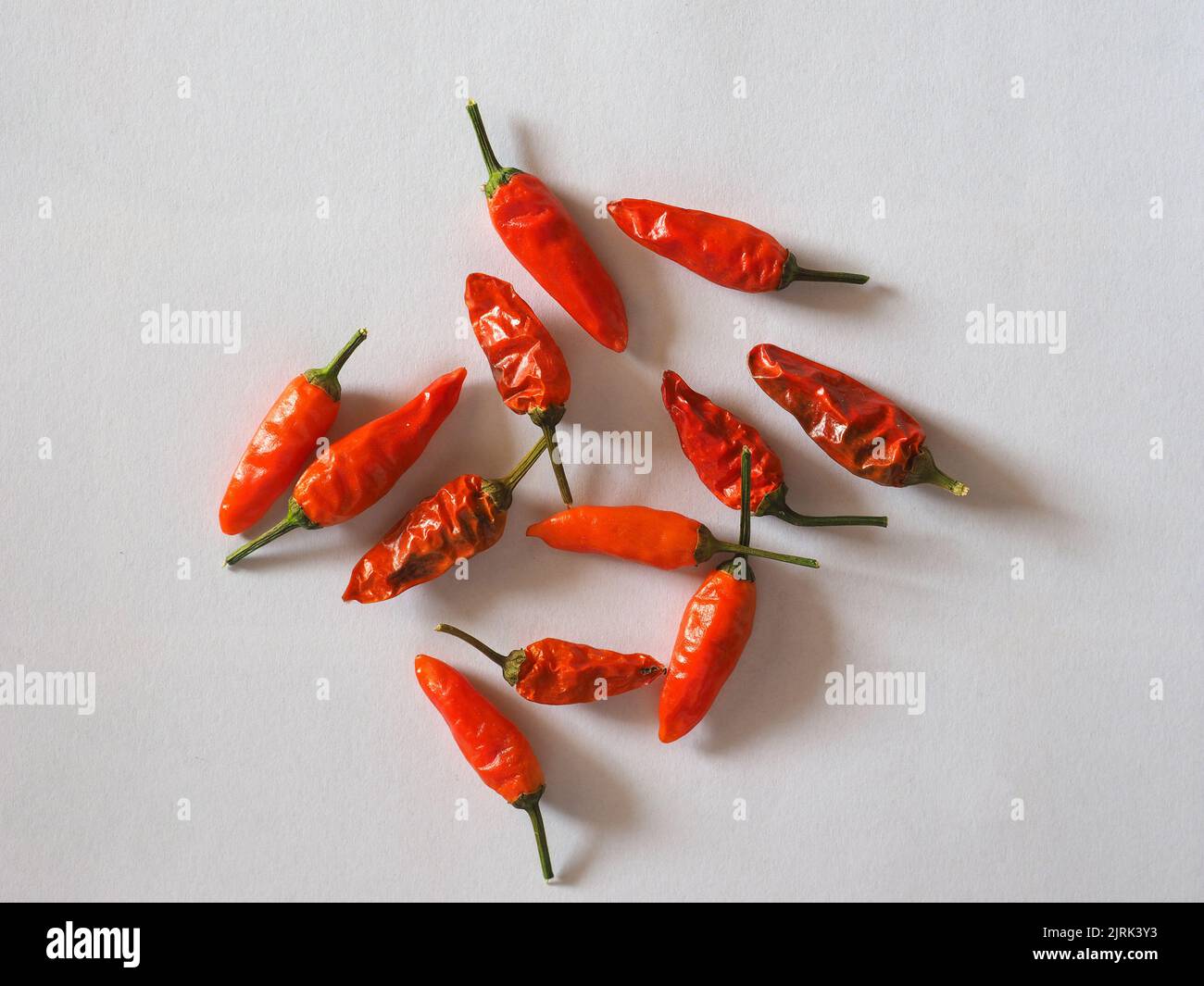 Red Hot Chili Pepper scientific name Capsicum Stock Photo Alamy