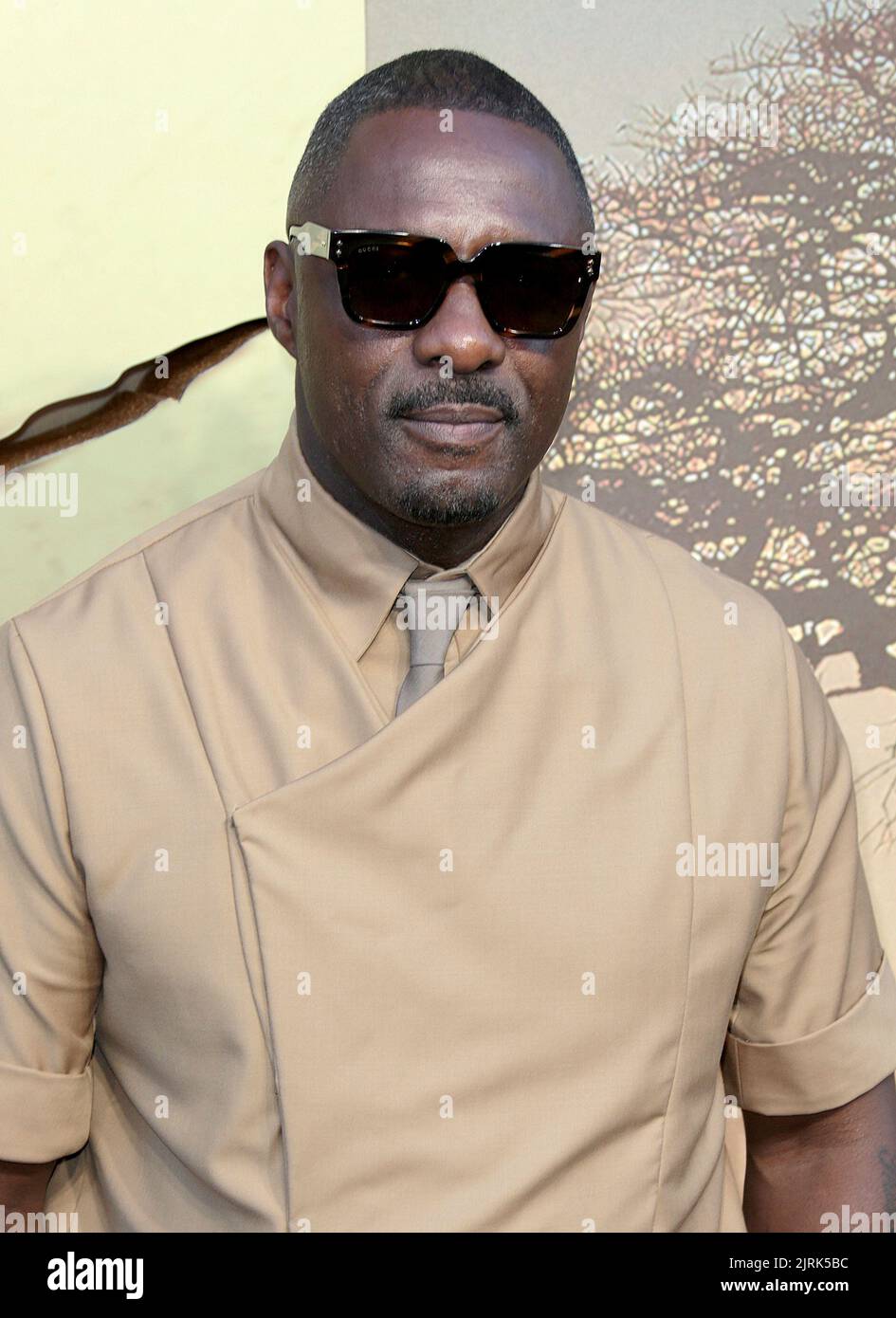 Aug 24, 2022 London, England, UK Idris Elba arrives at Beast UK
