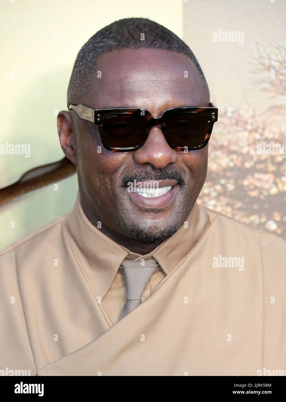 Aug 24, 2022 London, England, UK Idris Elba arrives at Beast UK