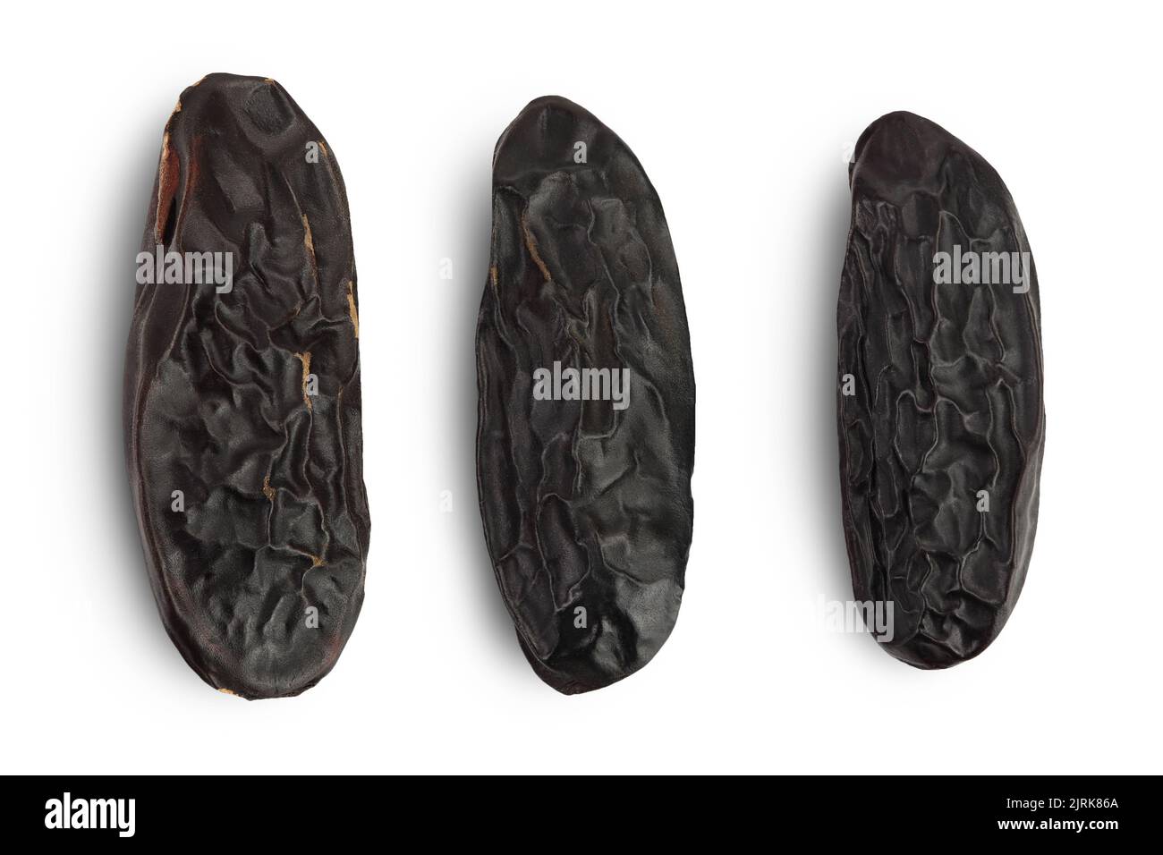 Tonka bean isolated on white background with full depth of field. Bean