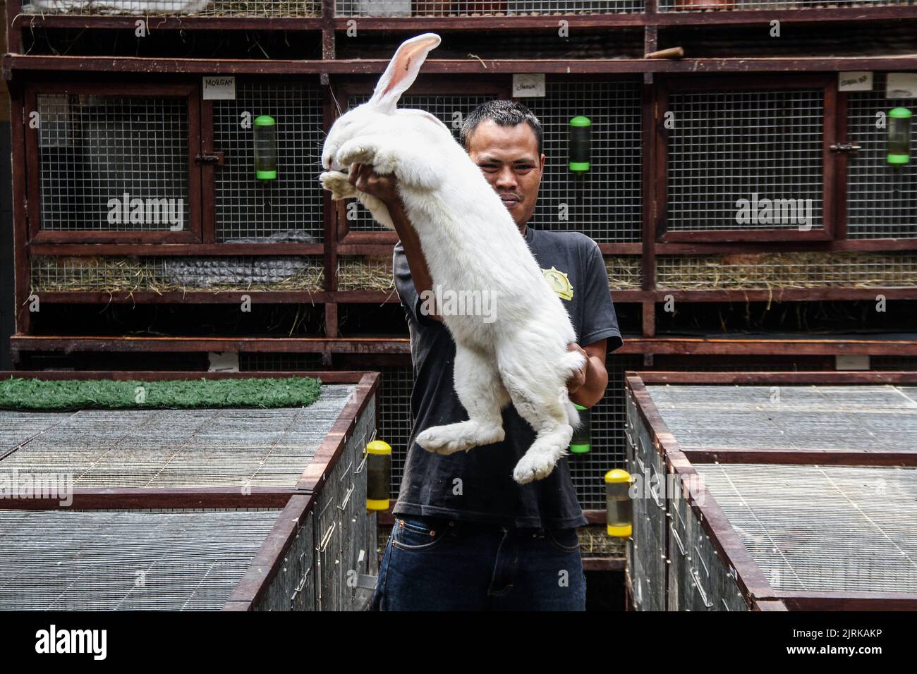 Lembang, West Java, Indonesia. 25th Aug, 2022. Breeders display the