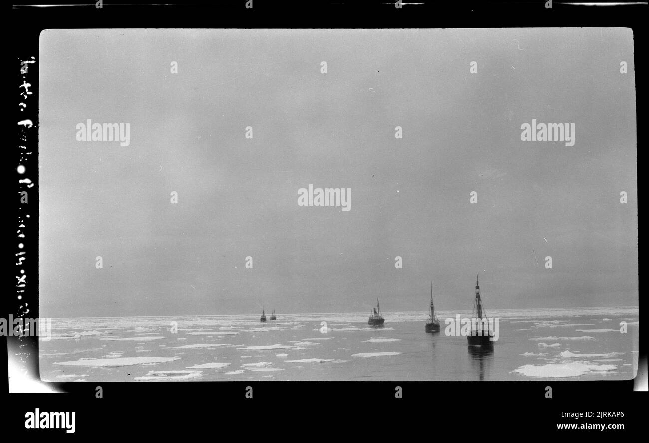 Whaling in the Ross Sea, 14 December 1923, Southern Ocean, by Captain George Samuel Hooper. Stock Photo