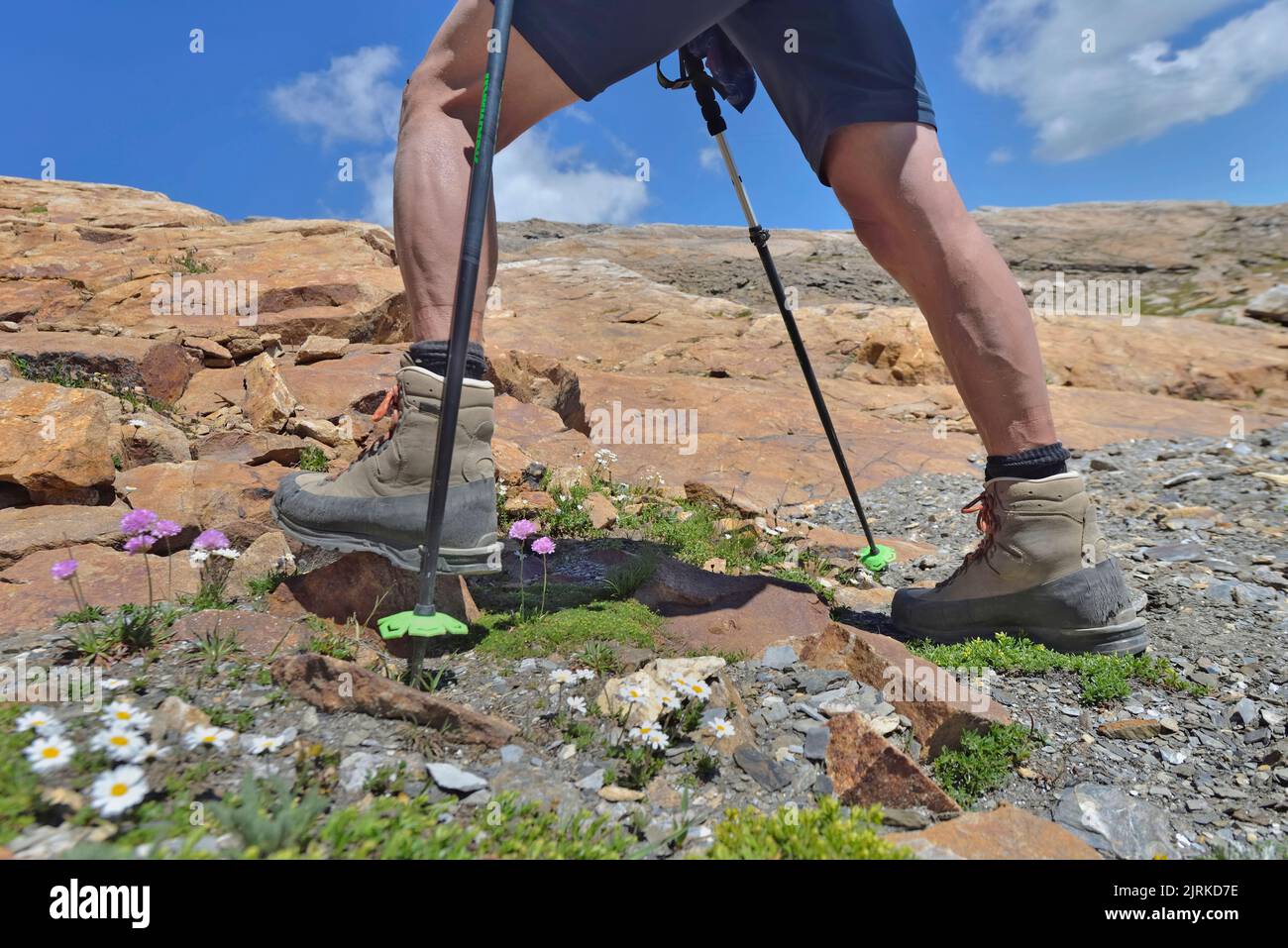 view on legs of a hiker climbing  a rocky mountain  of Mont  in summer Stock Photo