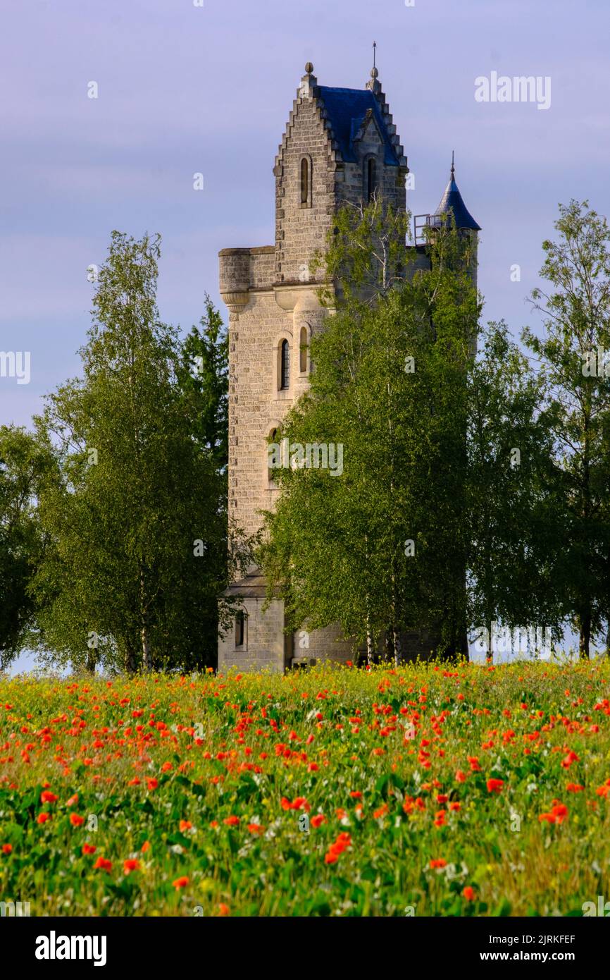 Poppy field with Ulster Tower memorial, Somme, France Stock Photo