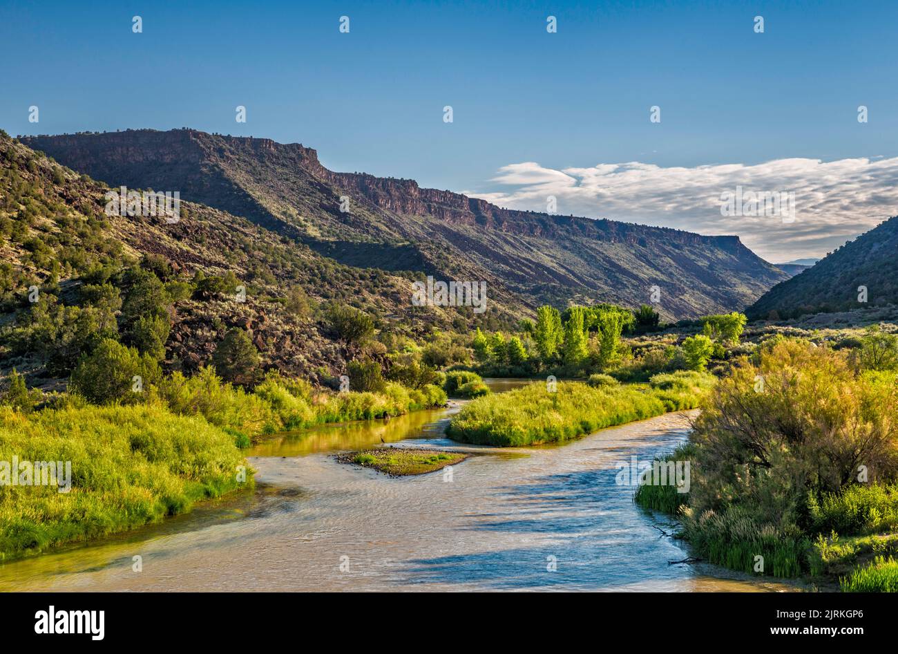 Rio Grande Gorge, cutting through Taos Plateau in Taos Junction area, Orilla Verde Recreation Area, Rio Grande del Norte National Monument, New Mexico Stock Photo
