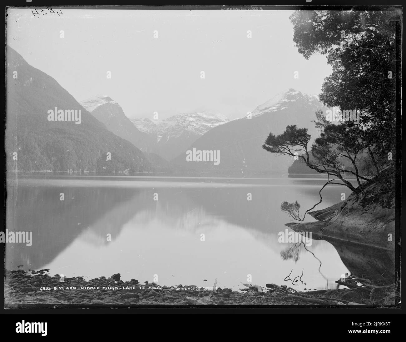 Southwest Arm, Middle Fiord, Lake Te Anau, 1889, Dunedin, by Burton Brothers, Alfred Burton