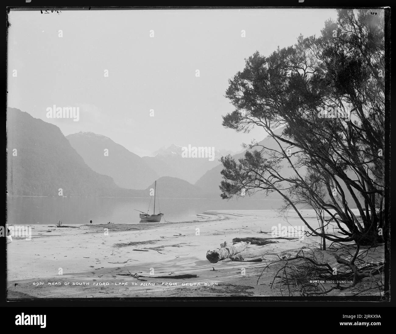 Head of South Fiord, Lake Te Anau, from Delta Burn, 1889, Dunedin, by Burton Brothers, Alfred