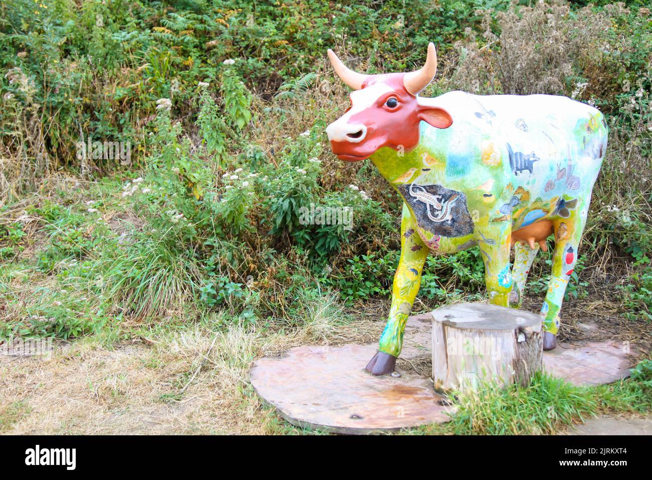 'Gertrude' Woolacombe Dunes Community Arts Cow Trail, North Devon, England, UK Stock Photo