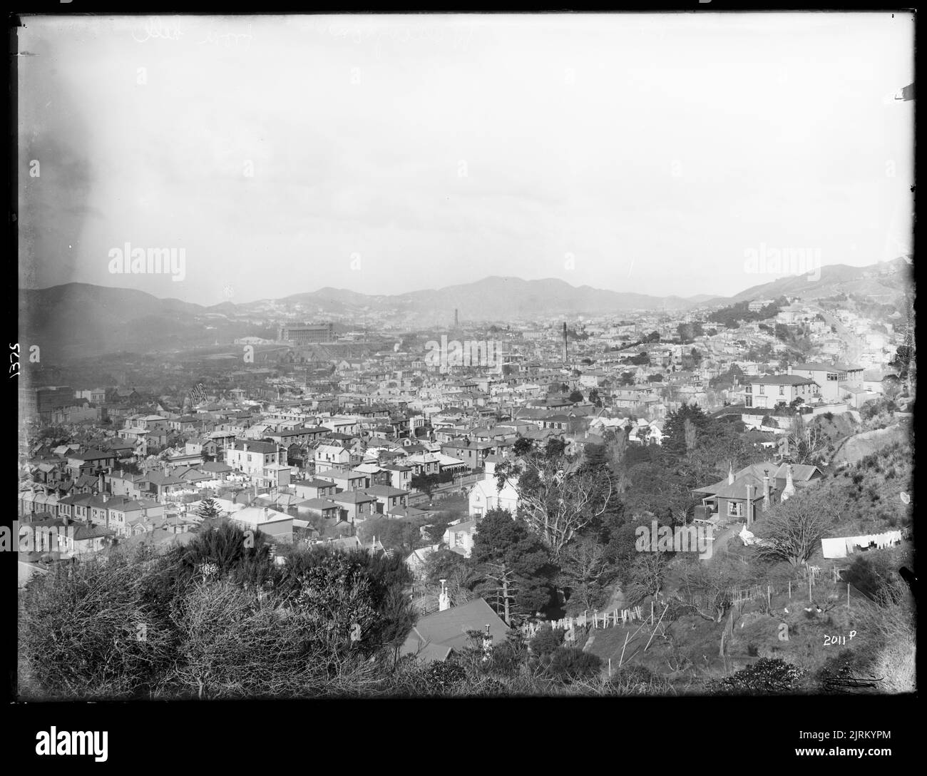 [Wellington from hill], New Zealand, by Muir & Moodie. Stock Photo