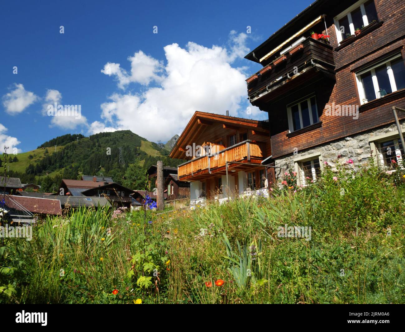 Chalets in Murren, Bernese Oberland, Switzerland. Stock Photo