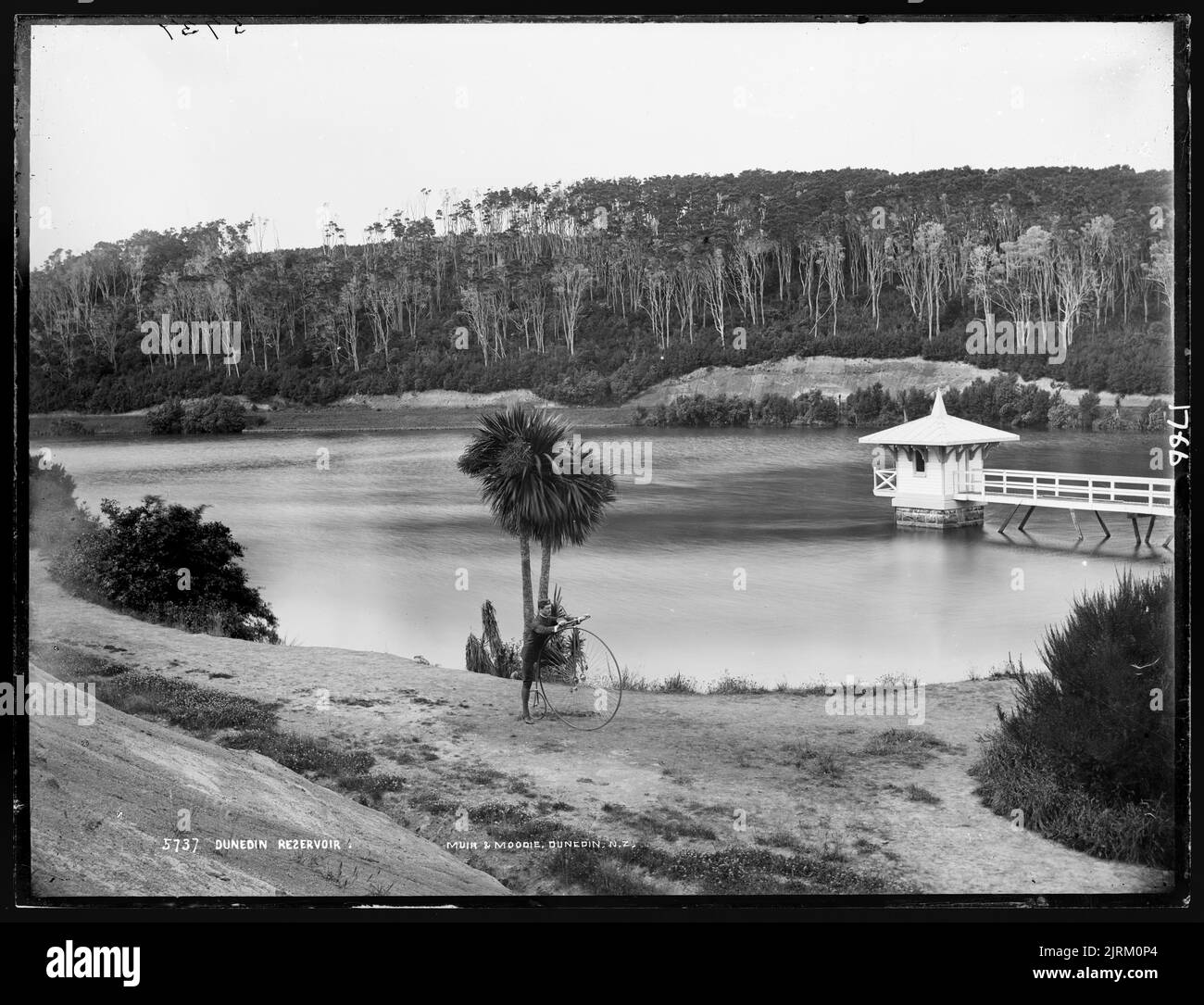 Dunedin reservoir hires stock photography and images Alamy