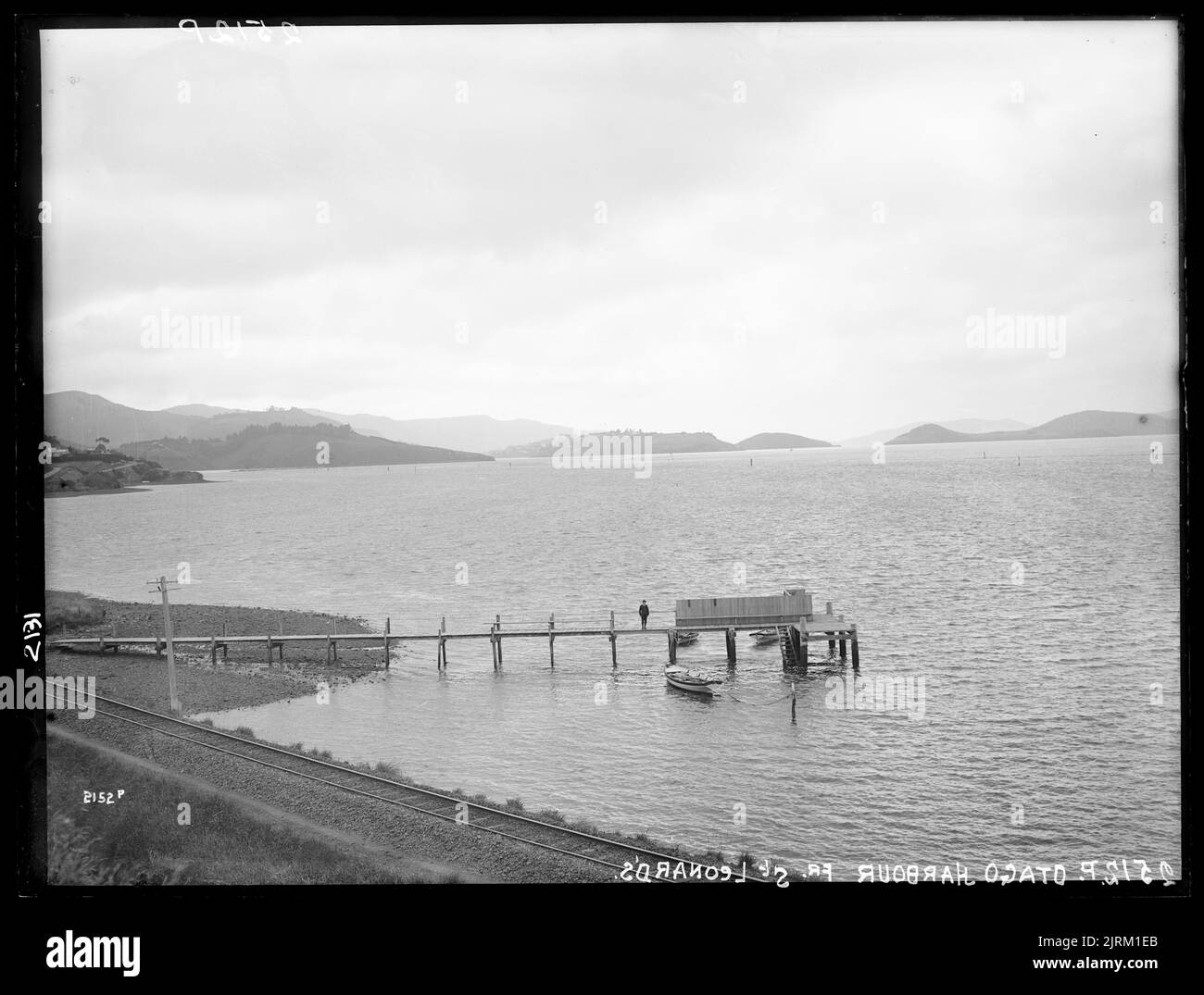 Otago Harbour, from Saint Leonard's, Dunedin, by Muir & Moodie Stock