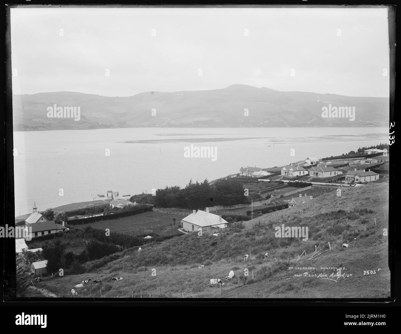 Saint Leonards, Dunedin, N.Z., circa 1906, Dunedin, by Muir & Moodie