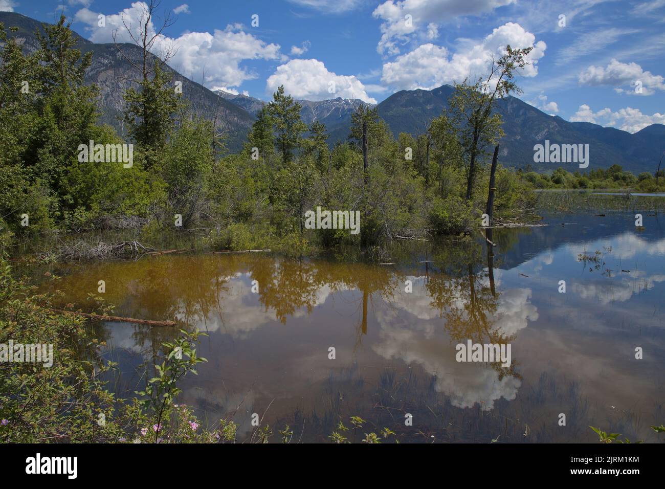 Spillimacheen hires stock photography and images Alamy