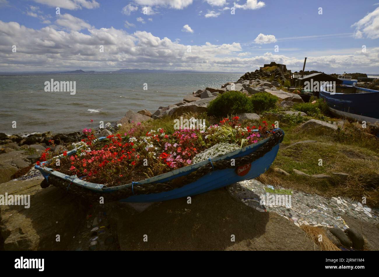 An old boat recycled as a giant flower pot in the harbour area of Kinghorn, Fife, Scotland, UK - Photo: Geopix Stock Photo