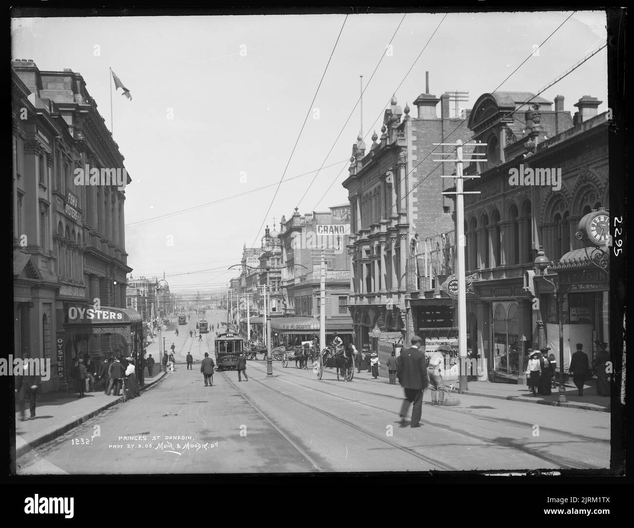 Princes Street, Dunedin, circa 1905, Dunedin, by Muir & Moodie Stock