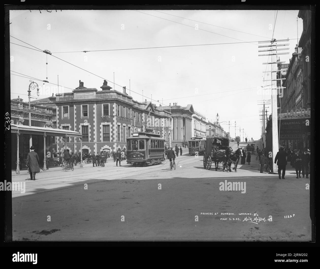 Princes Street, Dunedin, looking south, circa 1905, Dunedin, by Muir & Moodie. Stock Photo
