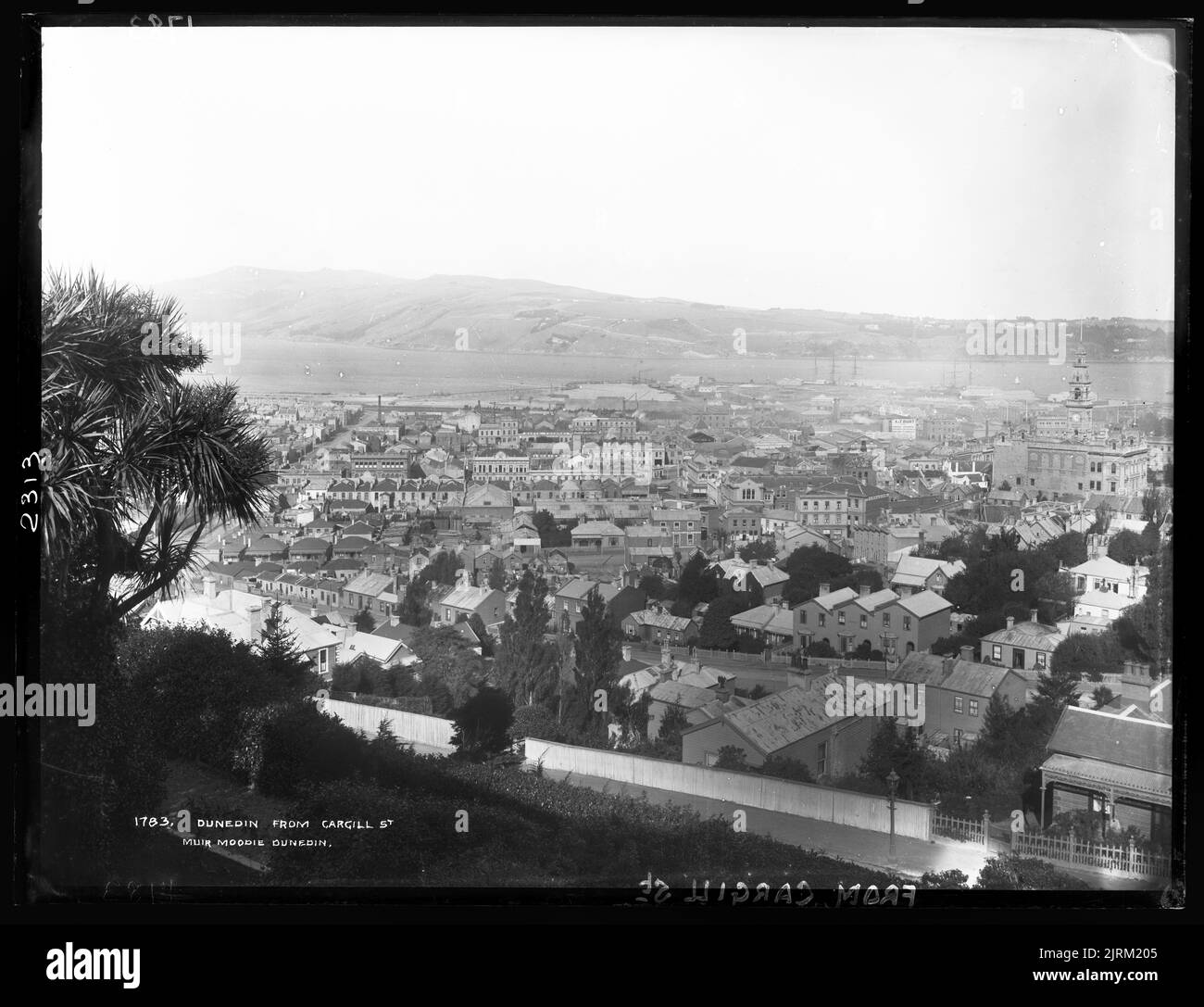 Cargill street hires stock photography and images Alamy