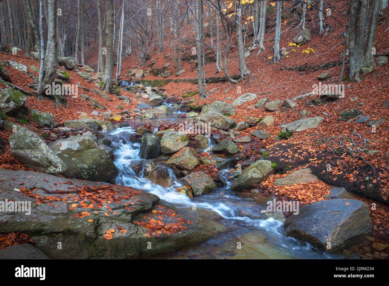 Creek across the Montseny Natural Park, Catalonia Stock Photo