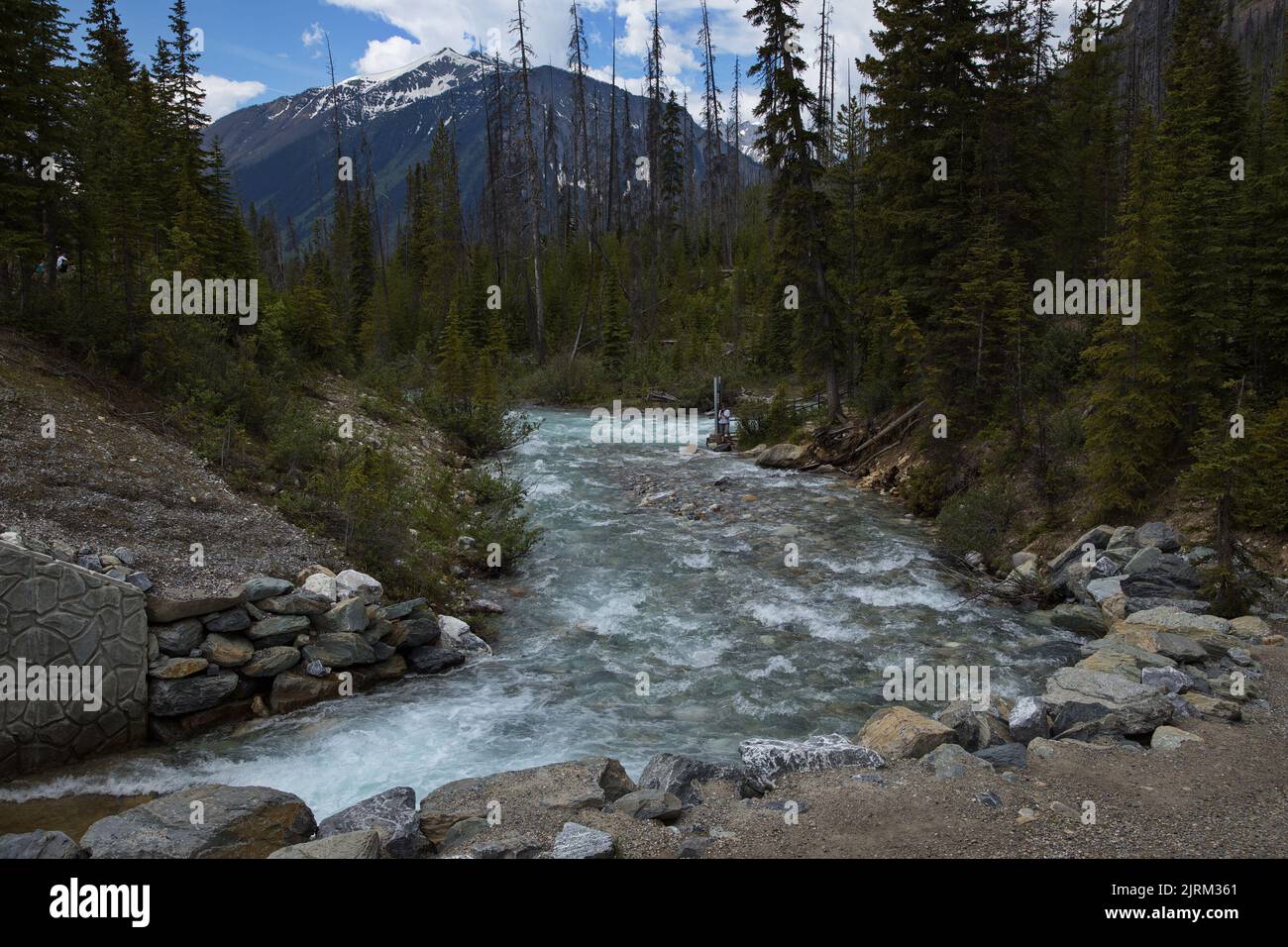 Kootenay River at Marble Canyon Trailhead in British Columbia,Canada ...
