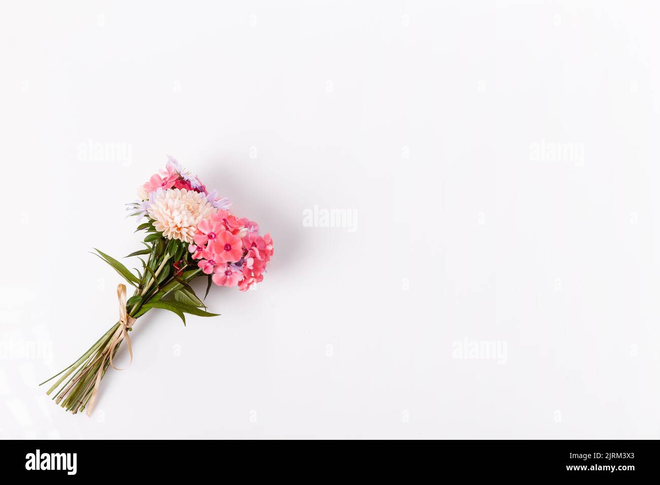 small autumn bouquet, soft pink coral asters and phloxes on a white background Stock Photo