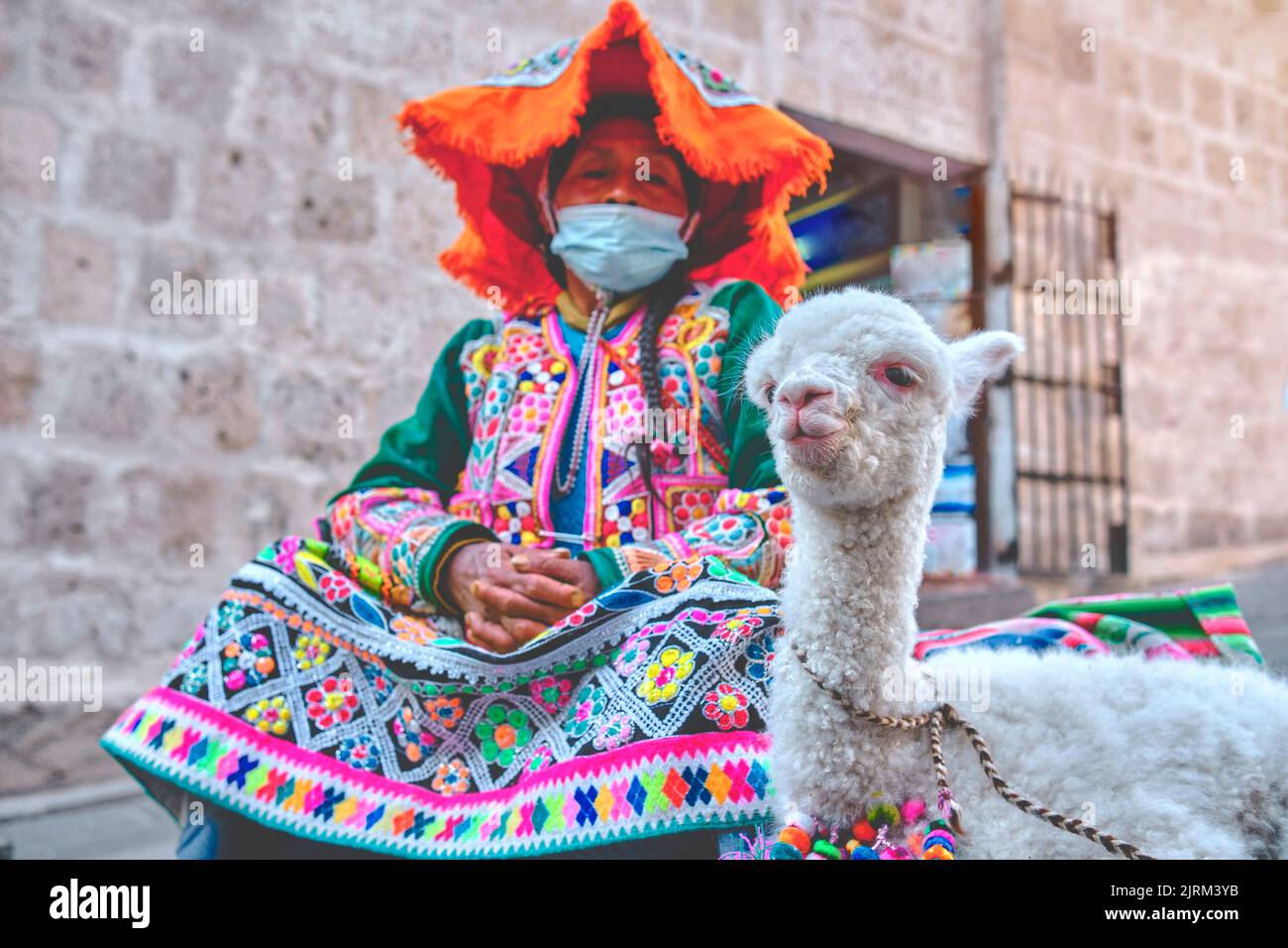 Quechua indian woman and her llama hi-res stock photography and