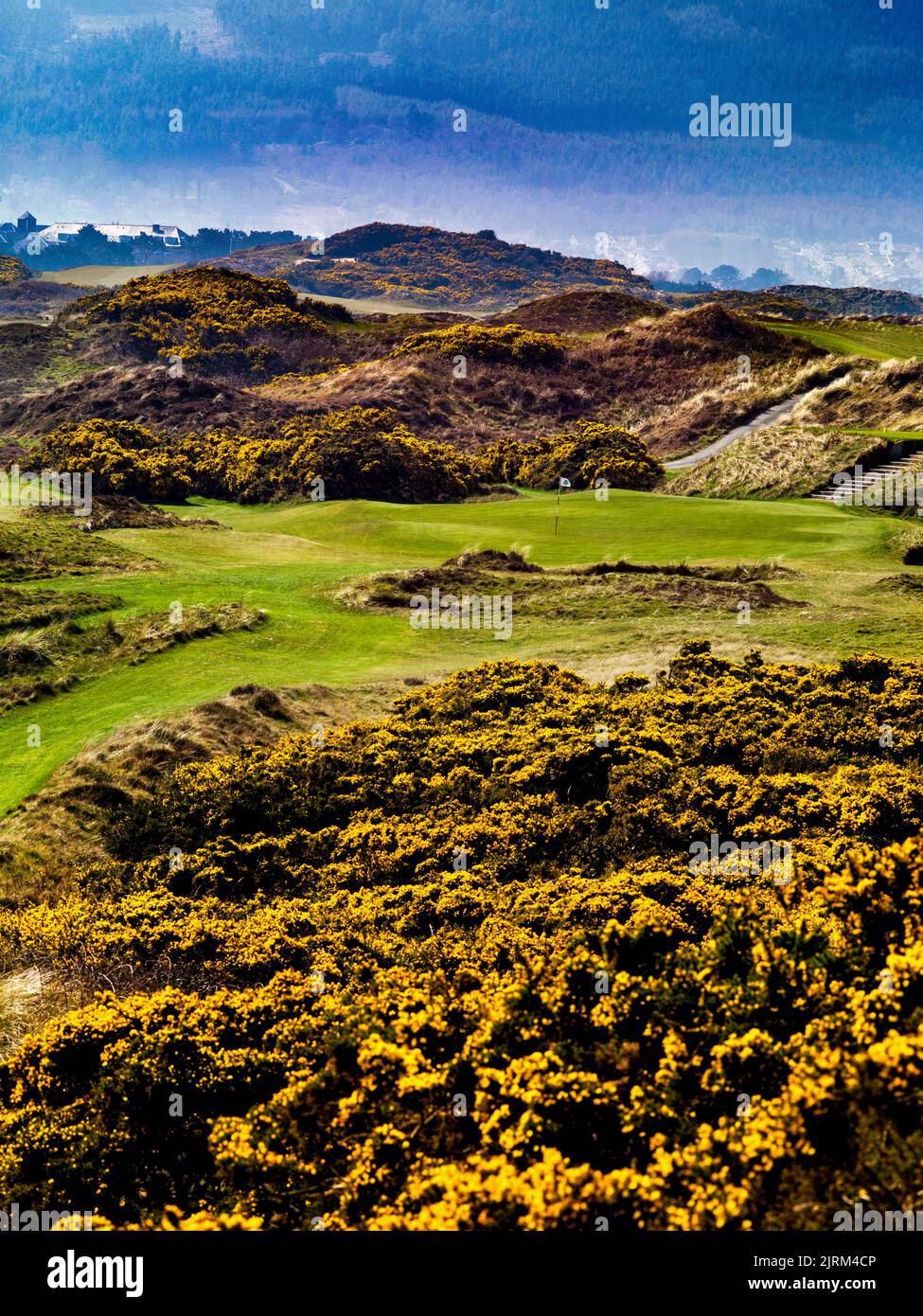 The Royal County Down Golf Course, Newcastle, Northern Ireland Stock Photo