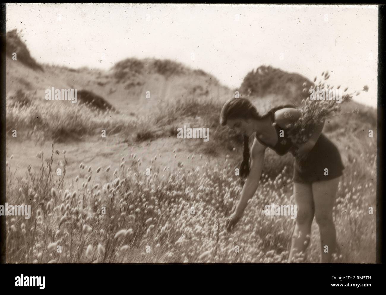 Maud Conibean gathering bean grass at Otaki beach, 22 January 1928, North Island, by Leslie Adkin. Gift of Adkin Family, 1997. Stock Photo