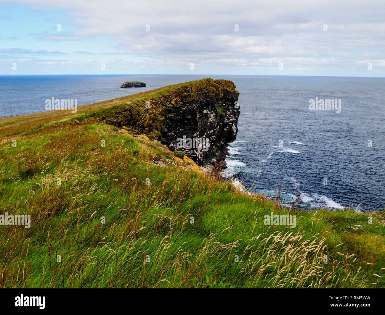 Cliffs, Copinsay, Orkney, Scotland Stock Photo