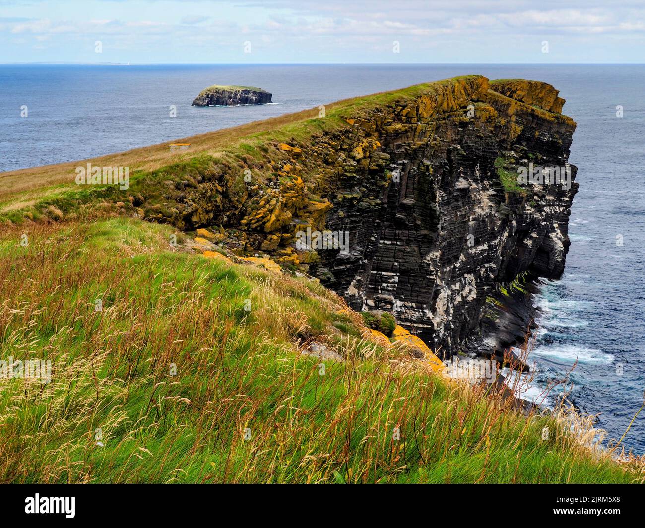 Cliffs, Copinsay, Orkney, Scotland Stock Photo