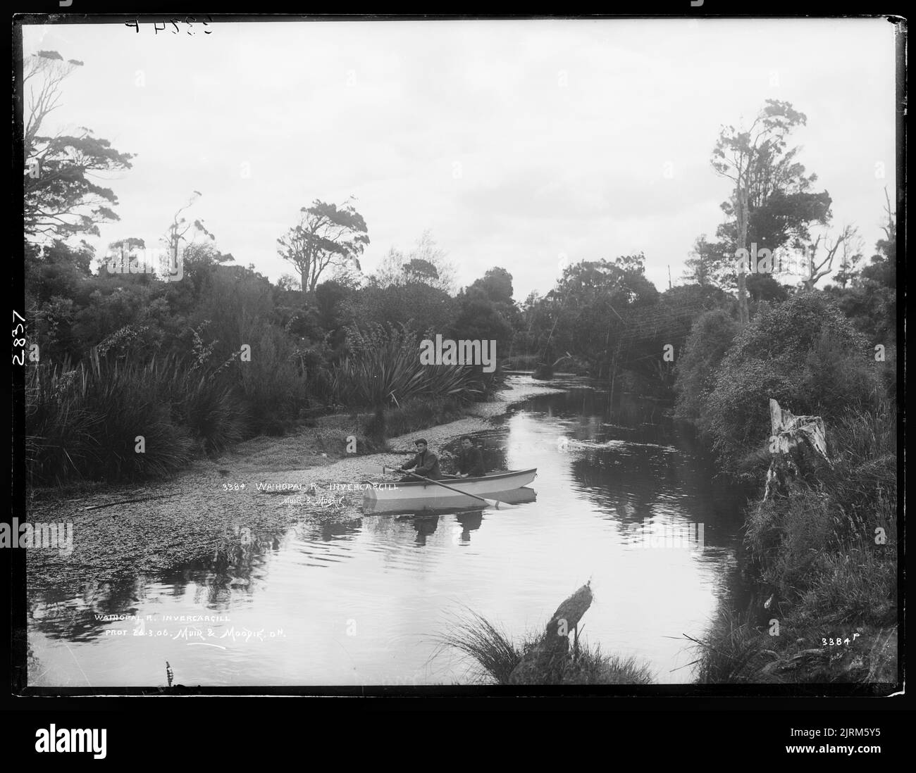 Waihopai River, Invercargill, circa 1906, Invercargill, by Muir