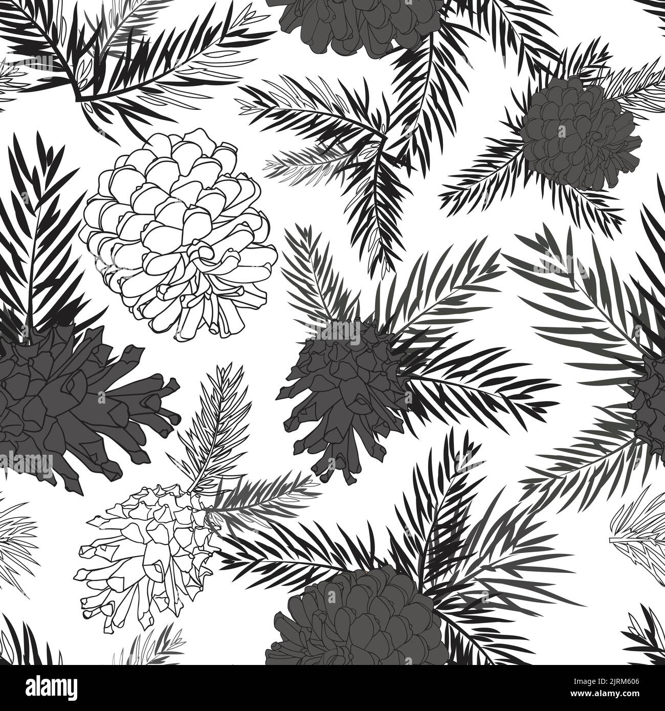 Fir tree branches with pine cone seamless background on white Stock ...