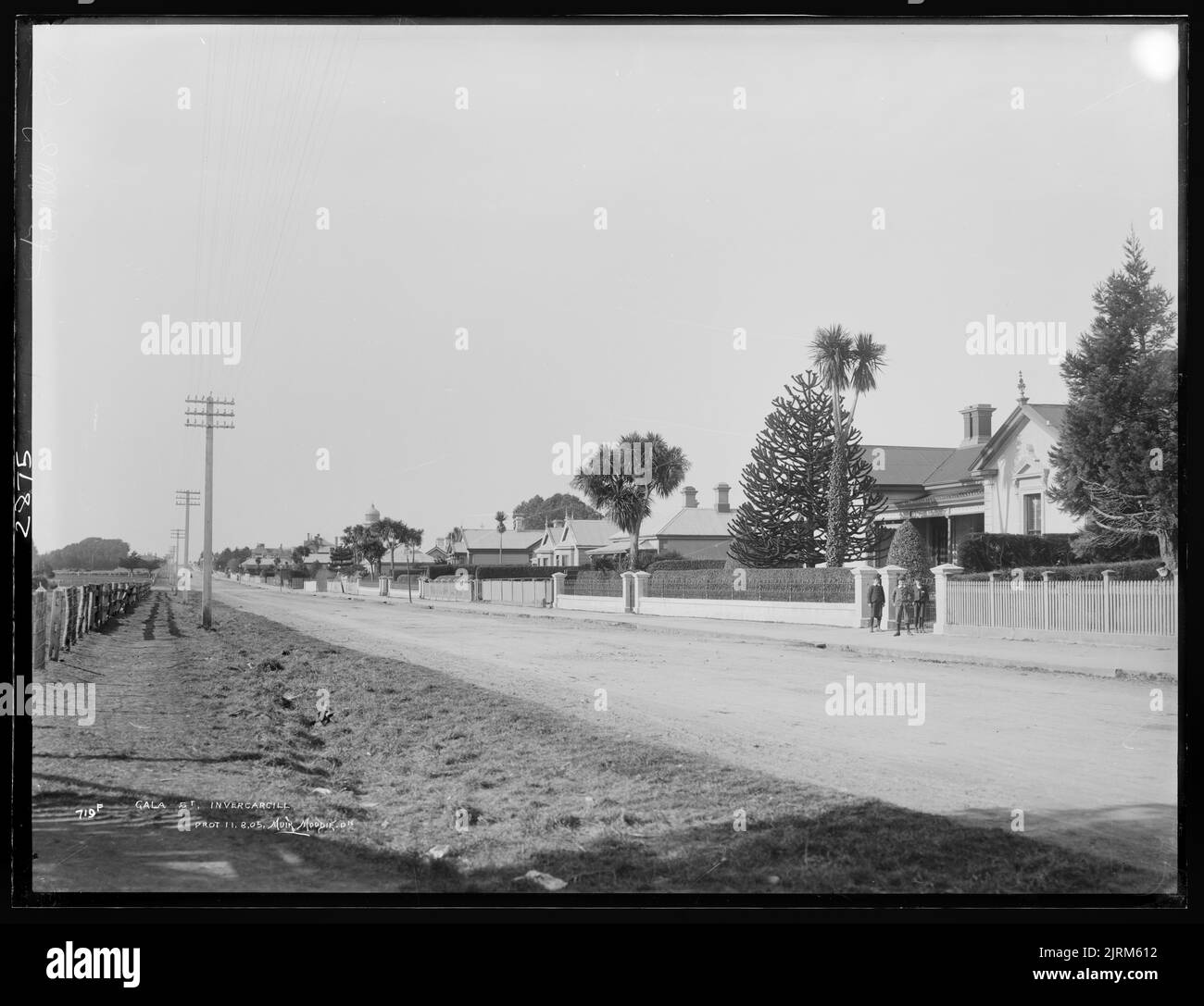 Gala Street, Invercargill, circa 1905, Invercargill, by Muir & Moodie
