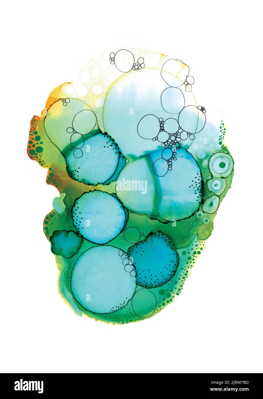 green and white art, bright field microscopy inspired, abstract watercolour and ink art specimens with a cellular plant moss lichen organic structure. Stock Photo