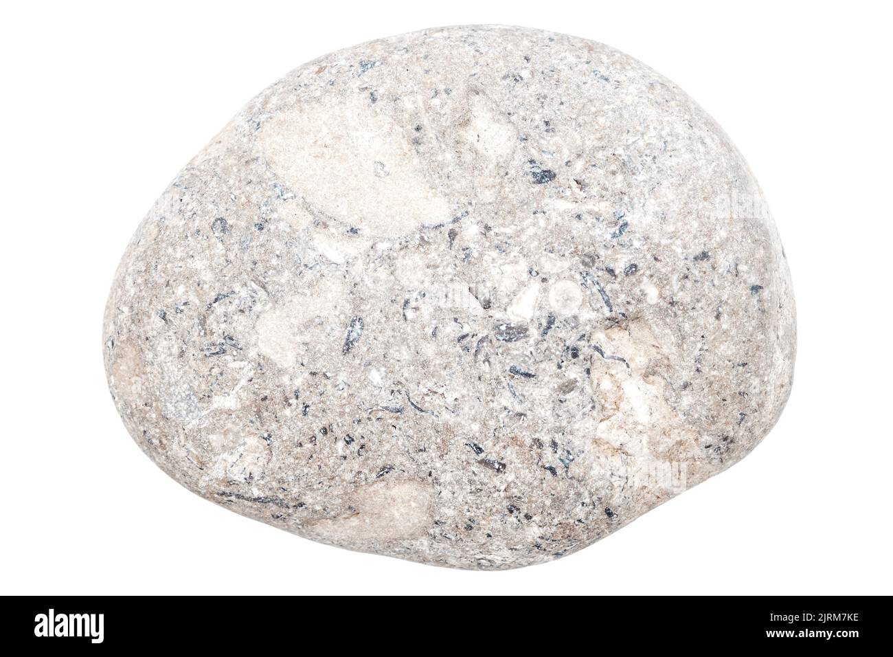 Top view of single gray pebble isolated on white background. Stock Photo