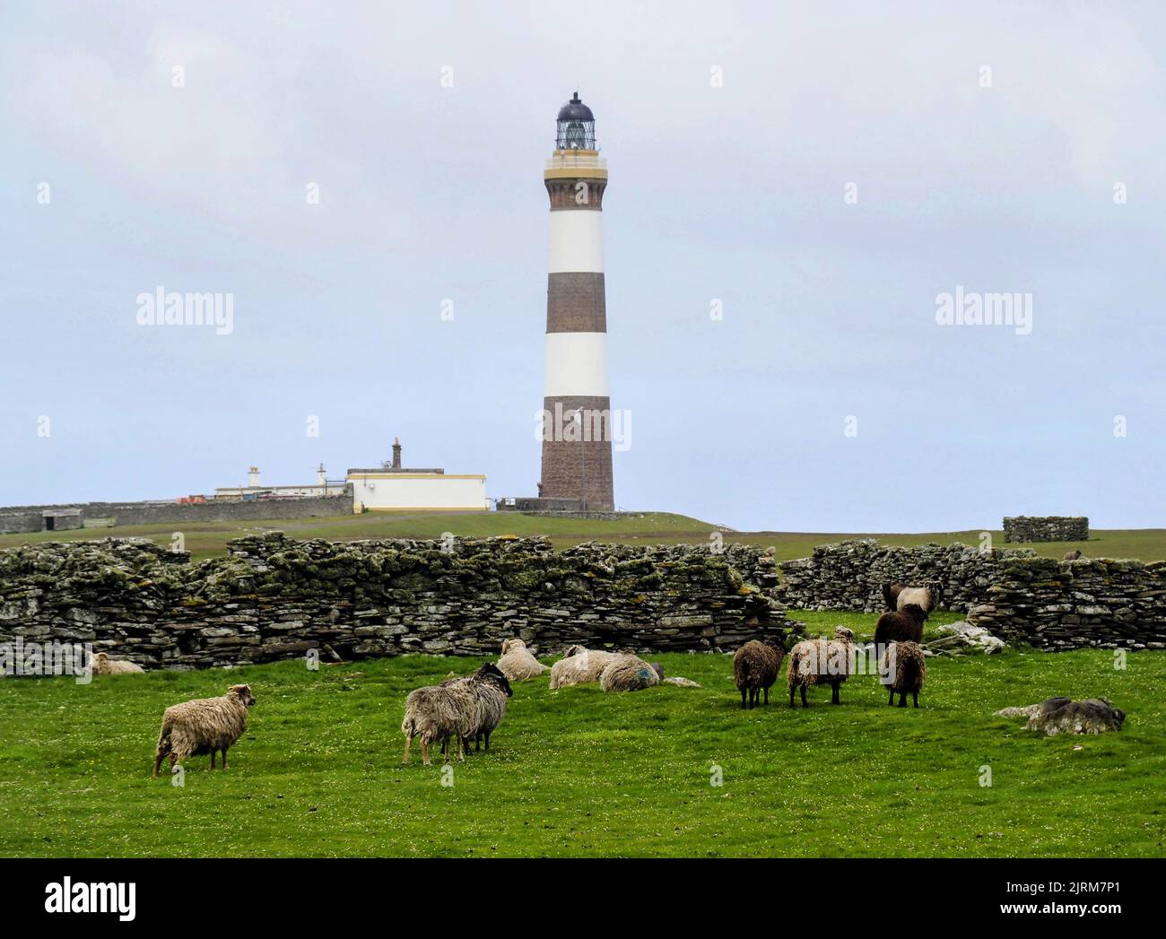 Lighthouse, North Ronaldsay, Orkney, Scotland Stock Photo