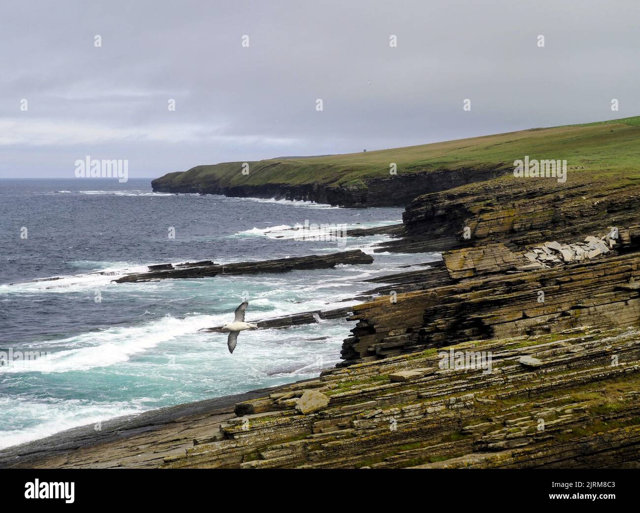 Marwick Head, Orkney Stock Photo