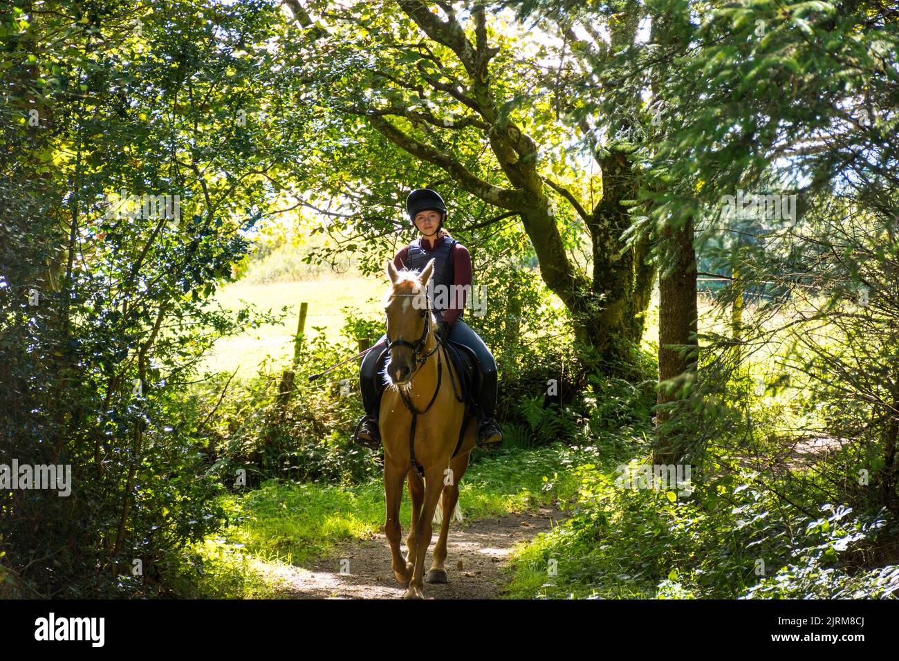 Young woman on her horse, County Donegal, Ireland Stock Photo