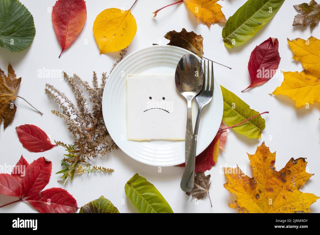 sad smiley is drawn on paper lies on a white plate on a white table in autumn yellow leaves, sadness depression, crisis has nothing to eat Stock Photo