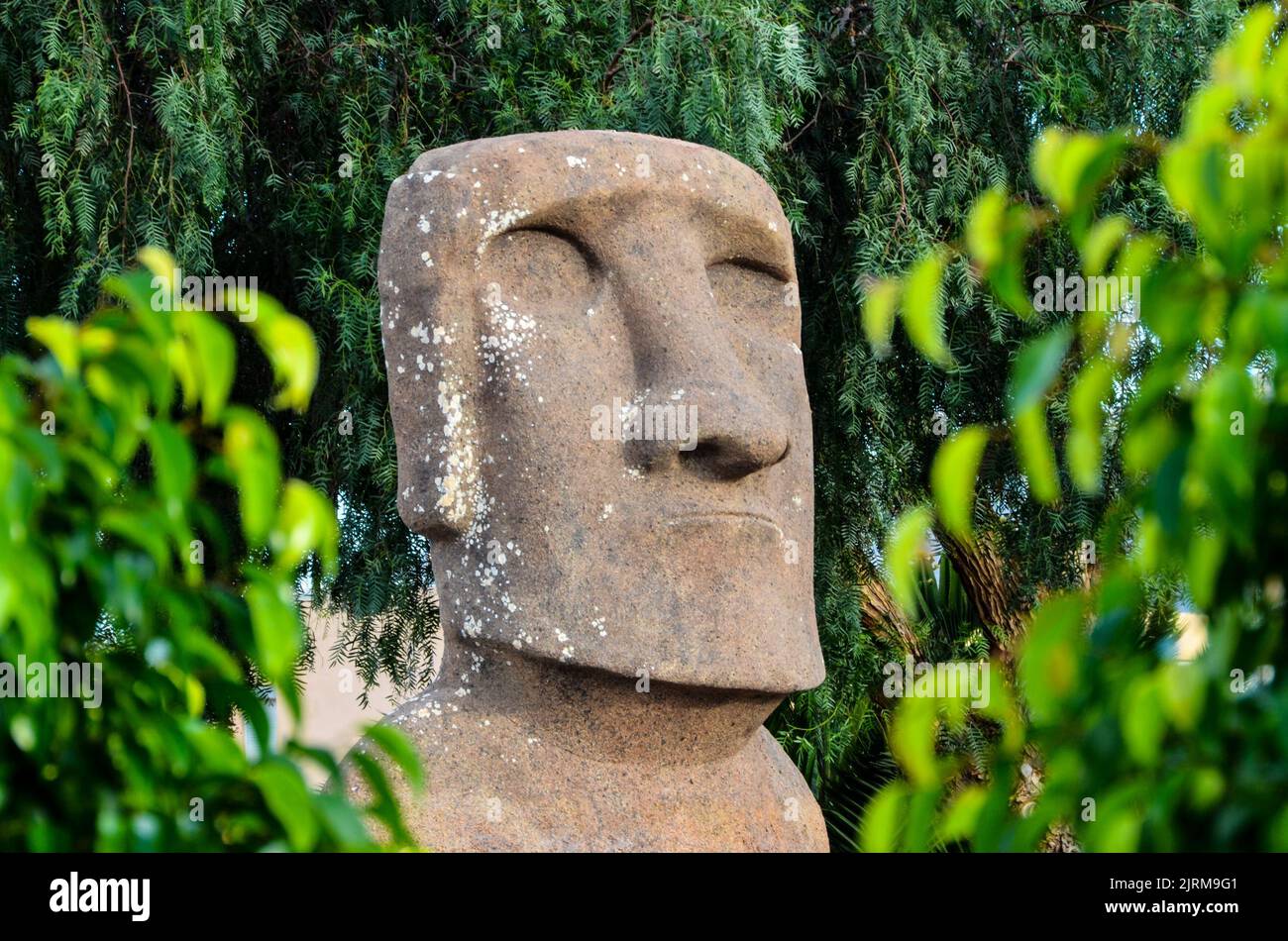 Moai standing from Easter Island , Chile South America Stock Photo